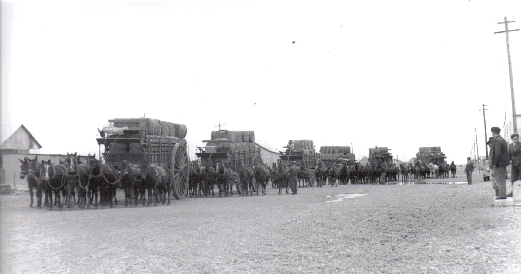 Caravana de lana histórica