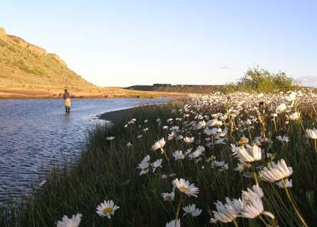 Fly Fishing en ríos patagónicos